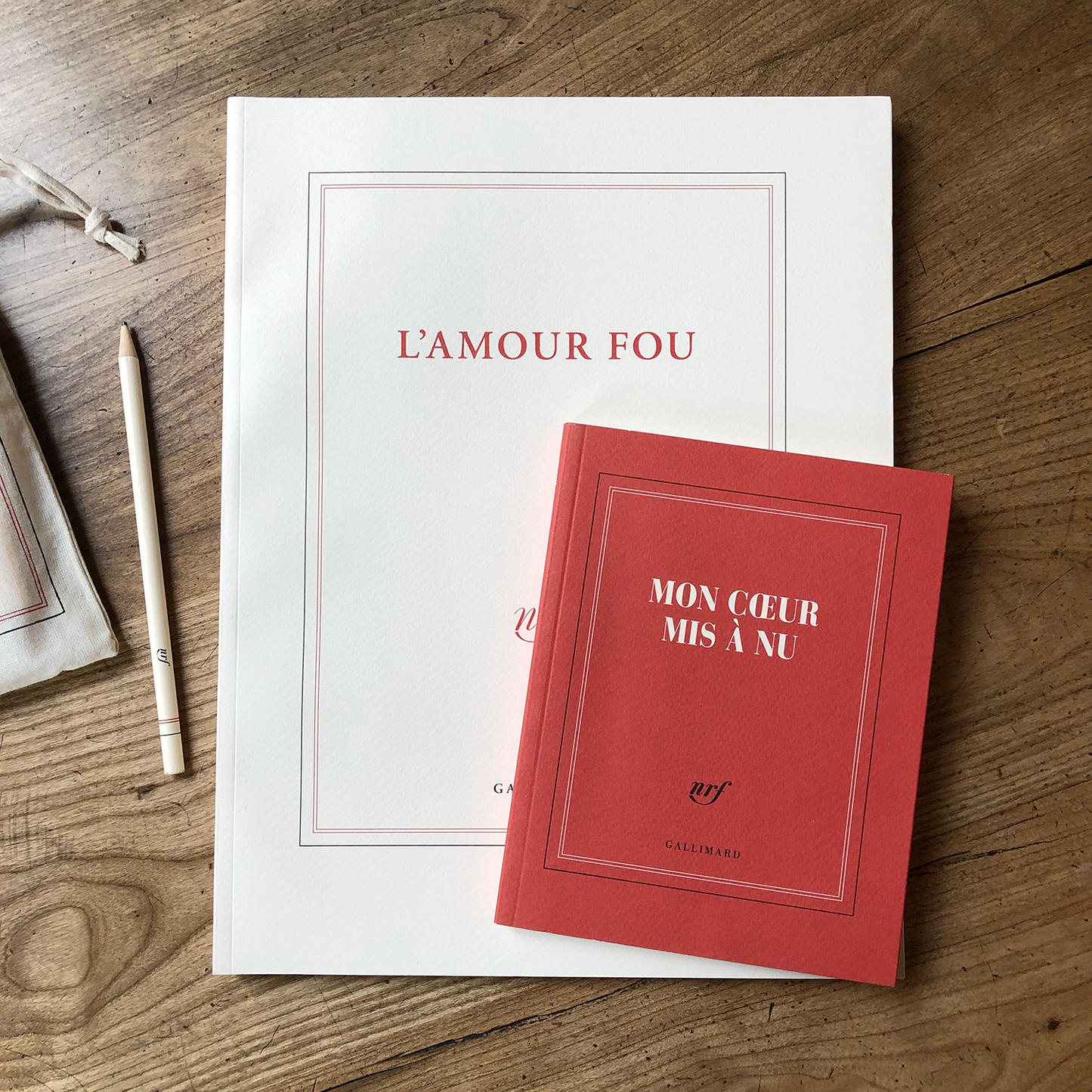 “Mon cœur mis à nu” (square notebook)