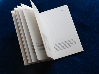 “Les privilèges de Stendhal” (inspiration notebook)