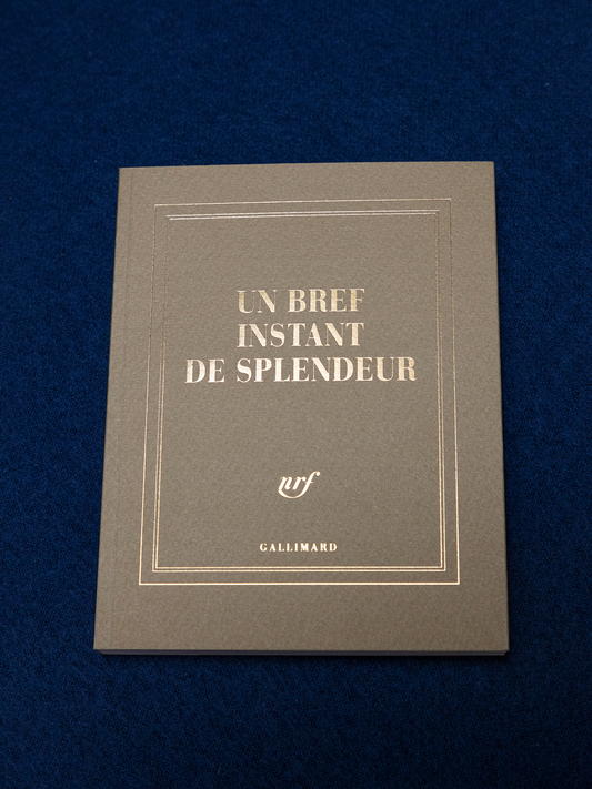 “Un bref instant de splendeur” (square notebook)
