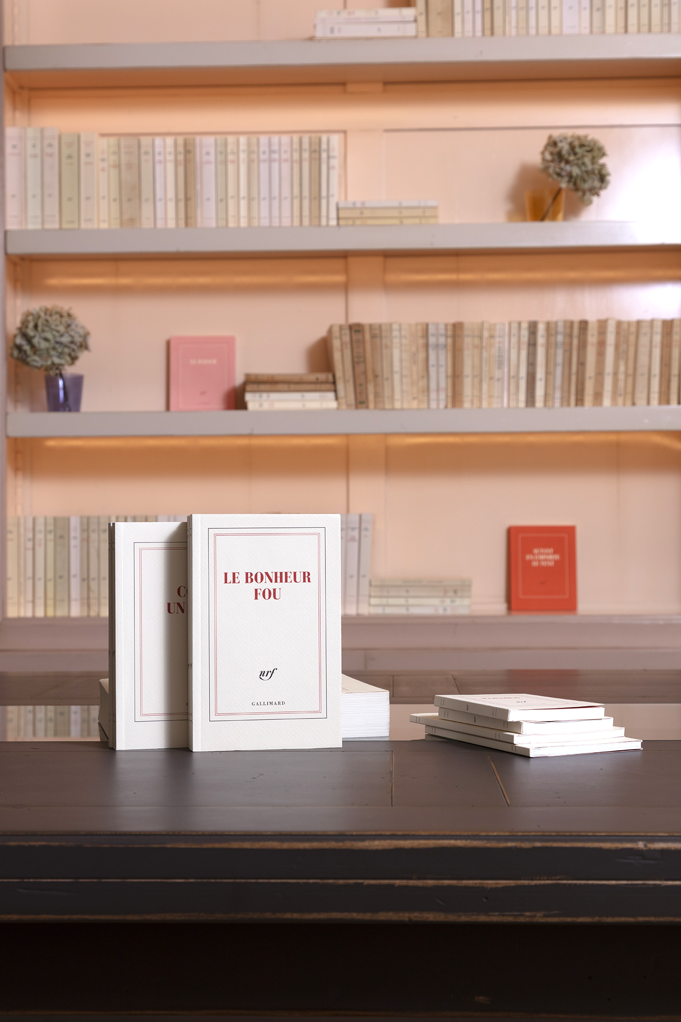 “Le bonheur fou” (notebook)