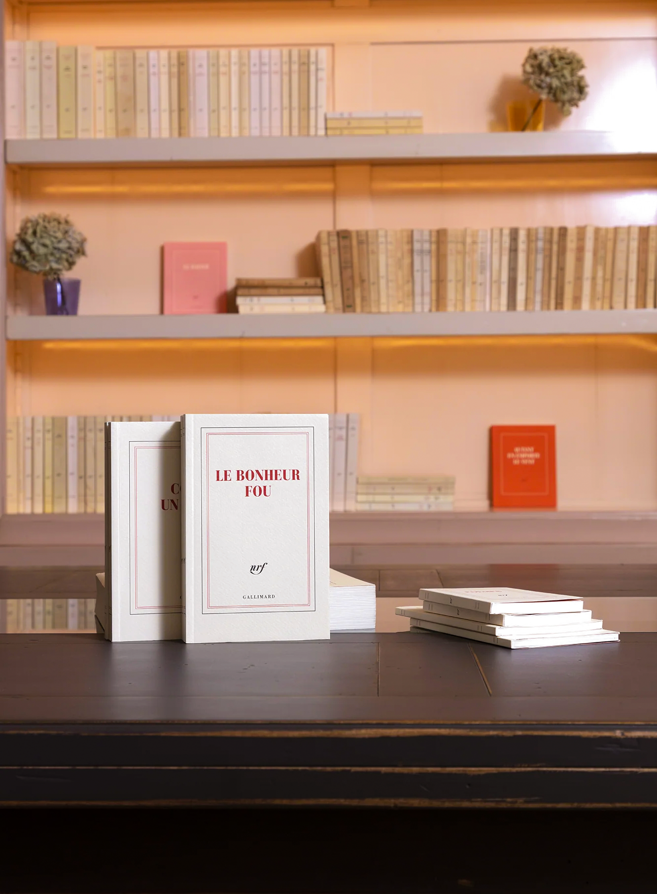 “Le bonheur fou” (notebook)