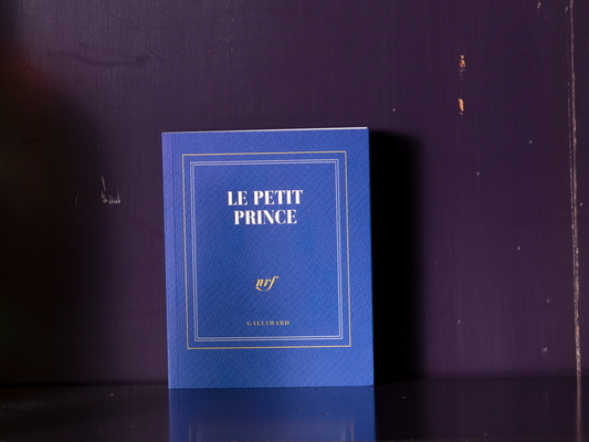 « Le petit prince » (carnet poche)