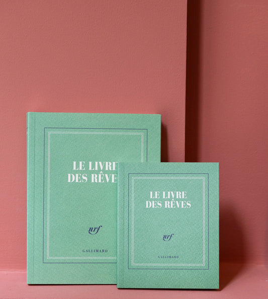 « Le livre des rêves  » (carnet poche)