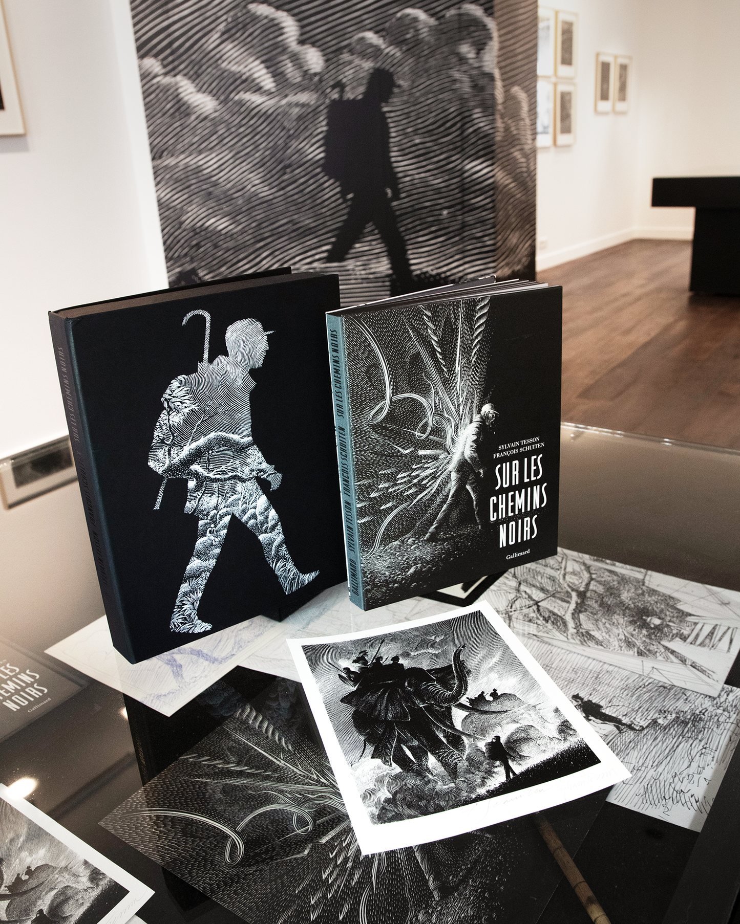 Edition limitée : Sur les chemins noirs de Sylvain Tesson illustré par François Schuiten