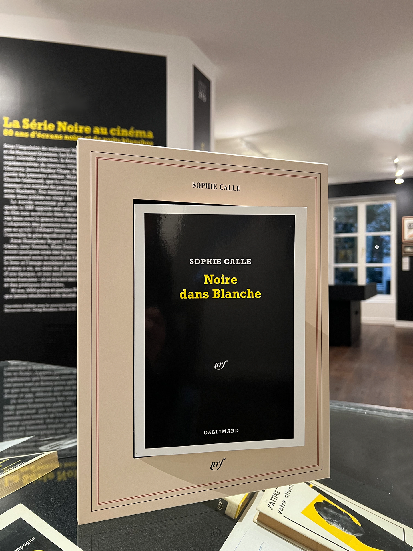 Noire dans Blanche, Sophie Calle