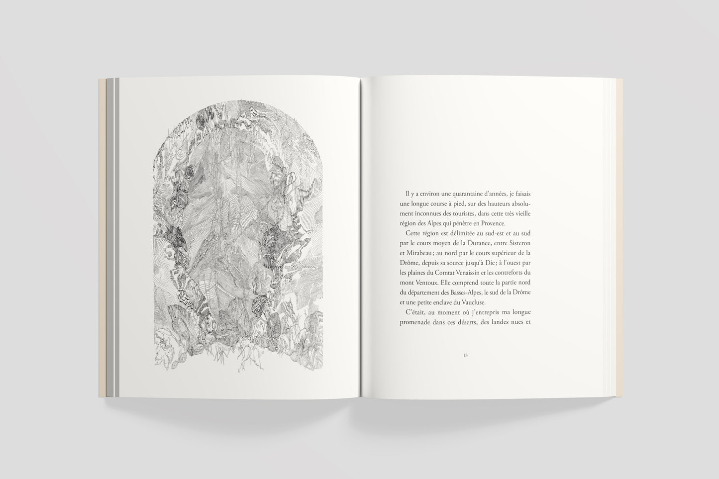 L'homme qui plantait des arbres, illustrated by Eva Jospin