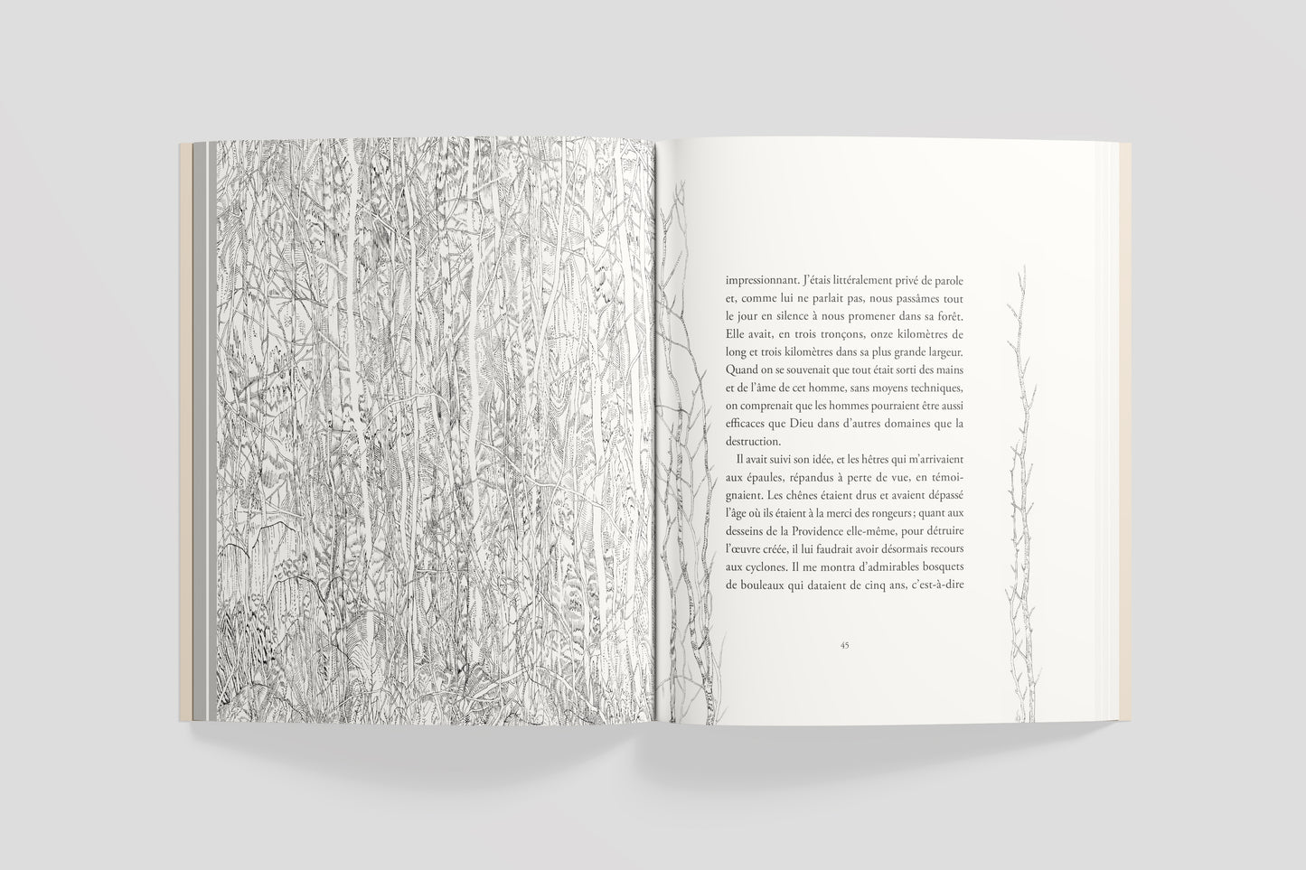 L'homme qui plantait des arbres, illustrated by Eva Jospin