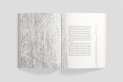 L'homme qui plantait des arbres, illustrated by Eva Jospin